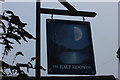 Half Moon pub sign, Balcombe