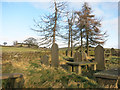 SE0434 : Horkinstone Baptist Old Burial Ground 2 by Des Blenkinsopp