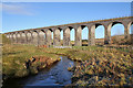 The Langside Burn and Shankend Viaduct