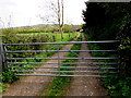 Twin tracks towards Frost Fields near Broadway