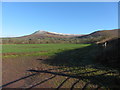 SO1427 : Fields below Mynydd Troed by Gareth James