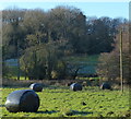 Field and bales in the Black Brook Valley