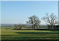 Landscape at Longframlington