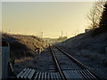 Railway line at Bempton