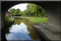 Llangollen Canal at Bettisfield, Wrexham