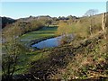 Lake by the Derwent