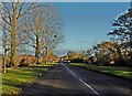 Approaching Somerton on the B3153