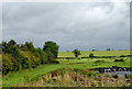 Farmland east of Welshampton, Shropshire