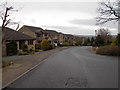 Park Avenue - viewed from Hawthorne Way