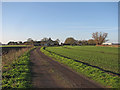 Middle Fen Bank