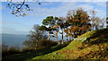 Autumn colours as seen from coast path E of Llanfairfechan