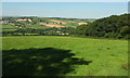 Grassy field by Poadmarsh Hill