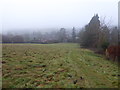 Field edge path in Ewyas Harold, Herefordshire