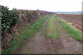 Hedge and farm track