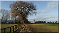 View NW to water tower at Bowden Bank Farm near over Peover