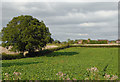 Farmland near Tetchill in Shropshire