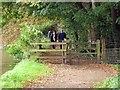 The Thames Path to Marlow