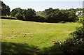 Field near Lower Hill