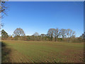 Farmland near Inholmes