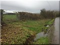 Layered Hedge