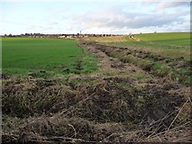SE3323 : Drainage ditches, east of Ouchthorpe Lane by Christine Johnstone