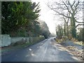 ST9056 : Edington Road by Michael Dibb