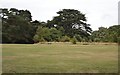 SU4607 : Royal Victoria Country Park by N Chadwick