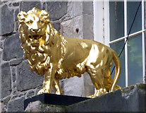 NS7993 : The Golden Lion by Thomas Nugent