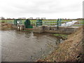 Sluice on Cripps River