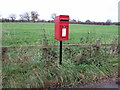 Elizabeth II postbox on Colleys Lane