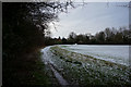 Path leading to Boggle Lane, Sproatley