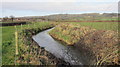 Land Yeo drainage rhyne