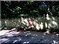 Wall postbox near Charlton south of Goodrich