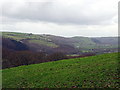 No snow over Cwm Rheidol