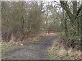 TL2449 : Entrance to Potton Wood by Dave Thompson