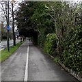 West along a cycle lane, Lansdown Road, Cheltenham