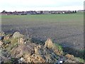 Houses in Whin Gardens and Merrill Road, Thurnscoe