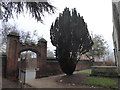 St Margaret, Ipswich: church entrance