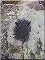 SH6367 : Moel Faban Arrow Stone (close-up), Rachub by Meirion
