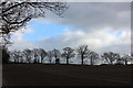 Eastwards from the end of Roach Valley Way