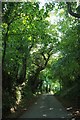 Lane near Lower Hillhead