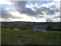 Field and houses seen from Commons Lane