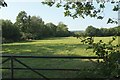 Meadow near Hooper