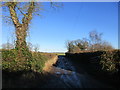 Roadway to Hall Farm, North Duffield