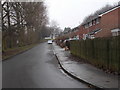 Holly Bank - looking towards Hardakers Lane