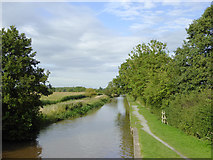 SJ6050 : Llangollen Canal south-west of Ravensmoor, Cheshire by Roger  D Kidd