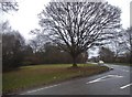 Bones Lane at the junction of West Park Road