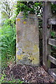 Benchmark on gatepost on north side of A6108 near Applegarth