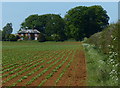 Farmland next to Wealdmore Lodge Farm