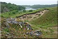 SR9794 : Sand dunes and limestone outcrop, Stackpole Warren by Simon Mortimer